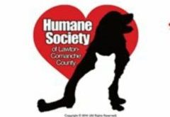 Humane Society Of Lawton-Comanche County